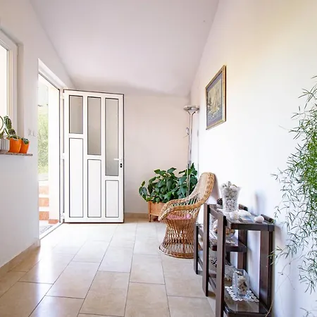 Apartamento Durdica Beautiful Garden With Fantastic Sea And Mountain Views Metajna Exterior foto