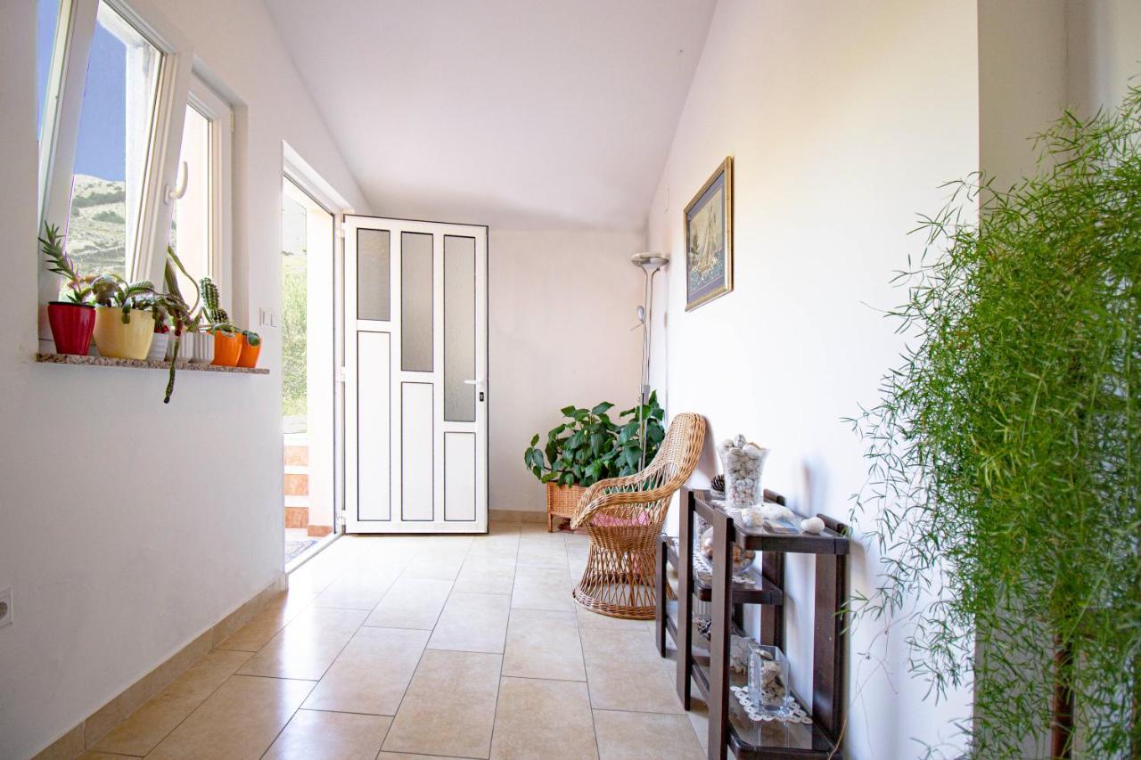 Durdica Beautiful Garden With Fantastic Sea And Mountain Views Apartment Metajna