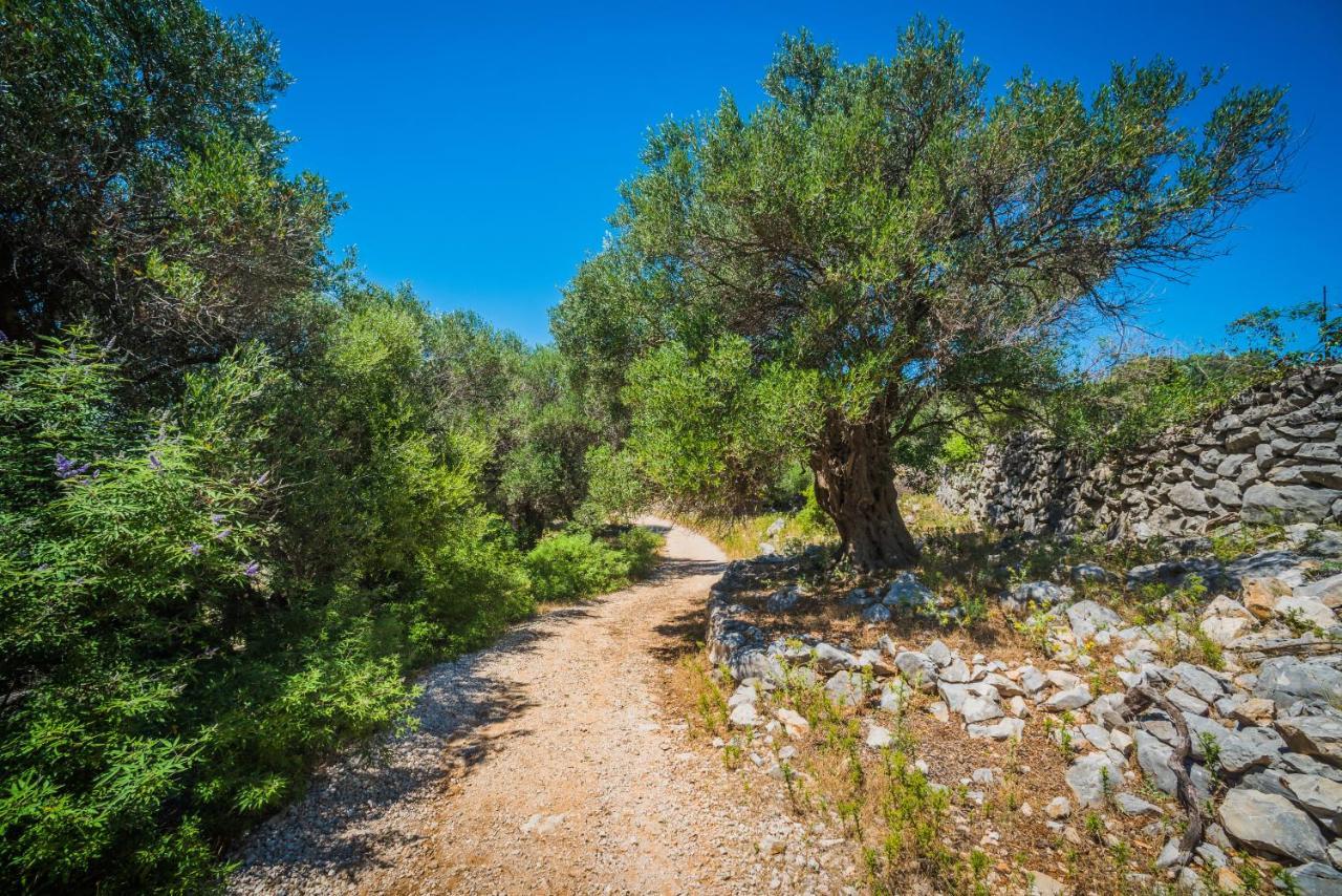 Durdica Beautiful Garden With Fantastic Sea And Mountain Views Apartment *