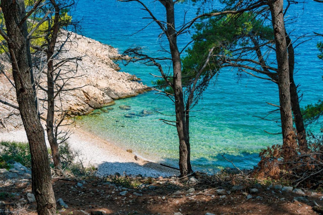 Durdica Beautiful Garden With Fantastic Sea And Mountain Views *